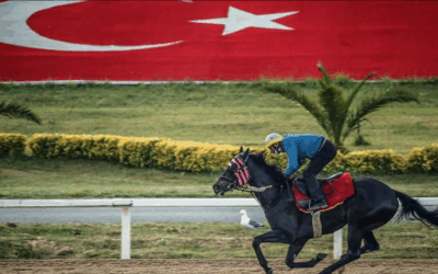At yarışından 18 milyon TL ikramiye kazandı!