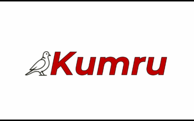 VNGRS'den 7,4 milyar parametreli Türkçe LLM: Kumru